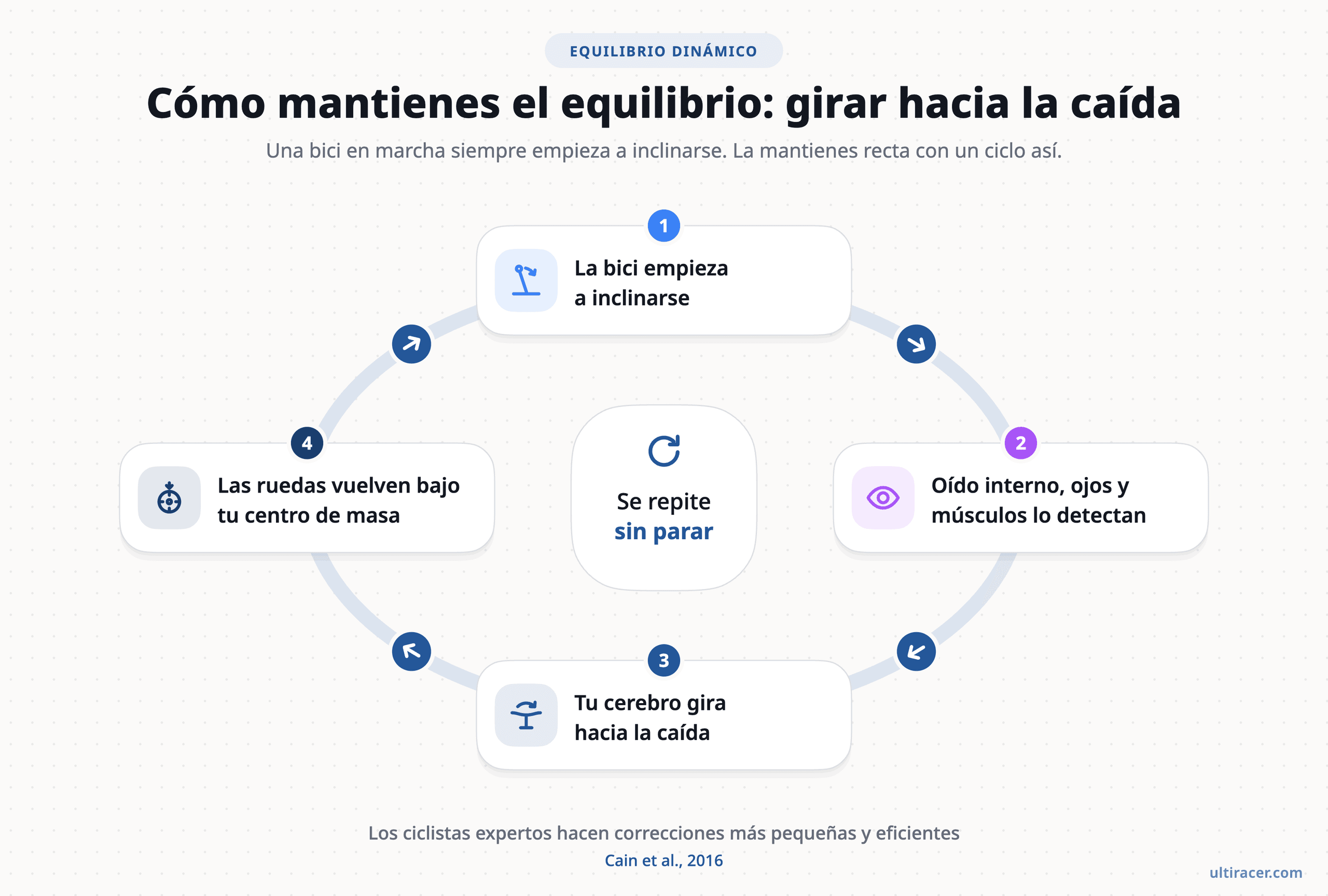 Pedalear es un ciclo continuo de detectar y corregir (según Cain et al., 2016). Ciclo de cuatro pasos del equilibrio en bicicleta: la bici se inclina, el oído interno, los ojos y los músculos lo detectan, el cerebro gira hacia la caída y las ruedas vuelven bajo el centro de masa