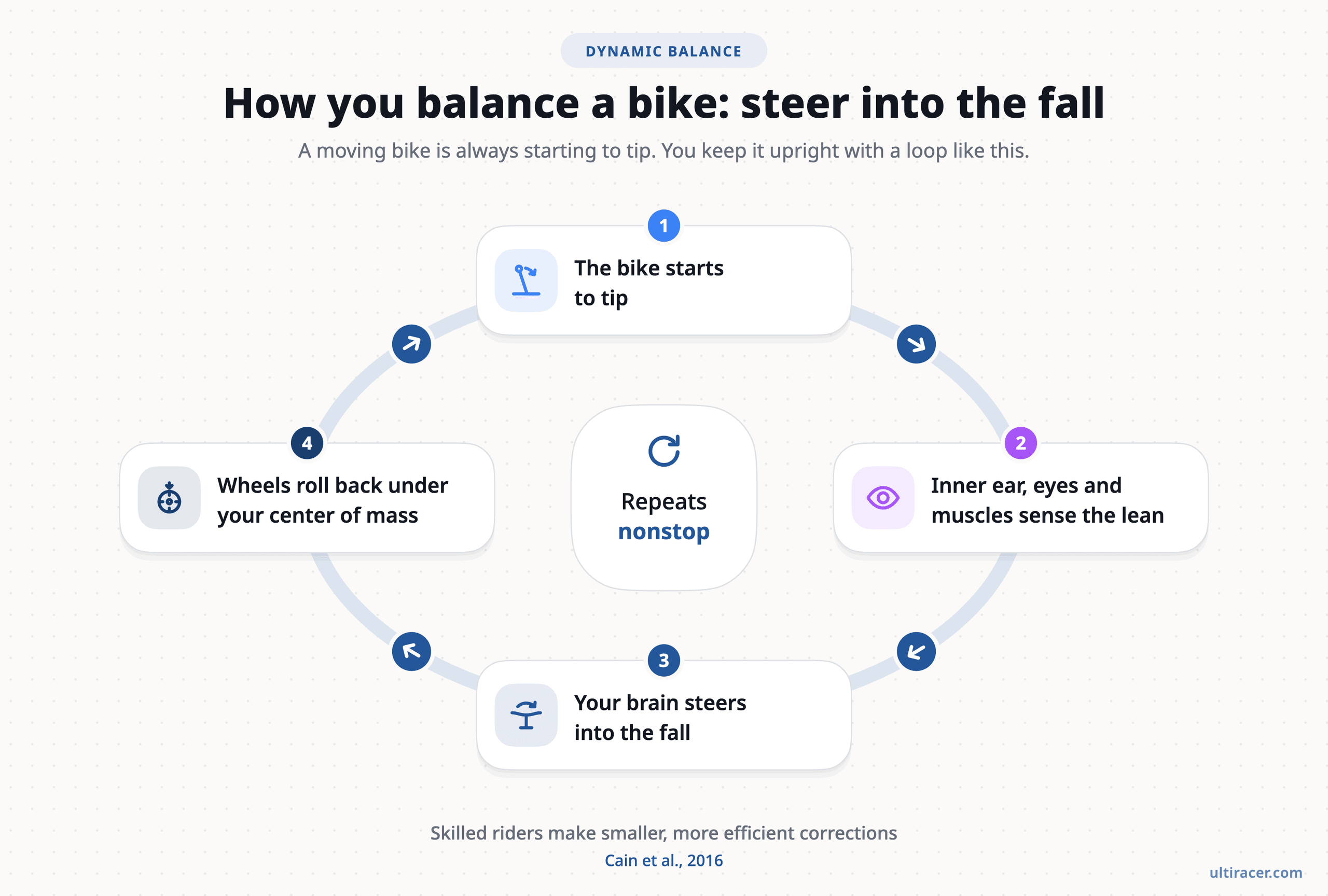 Riding a bike is a nonstop sense-and-steer loop (based on Cain et al., 2016). Four-step loop of bicycle balance: the bike starts to tip, the inner ear, eyes and muscles sense the lean, the brain steers into the fall, and the wheels roll back under the rider's center of mass