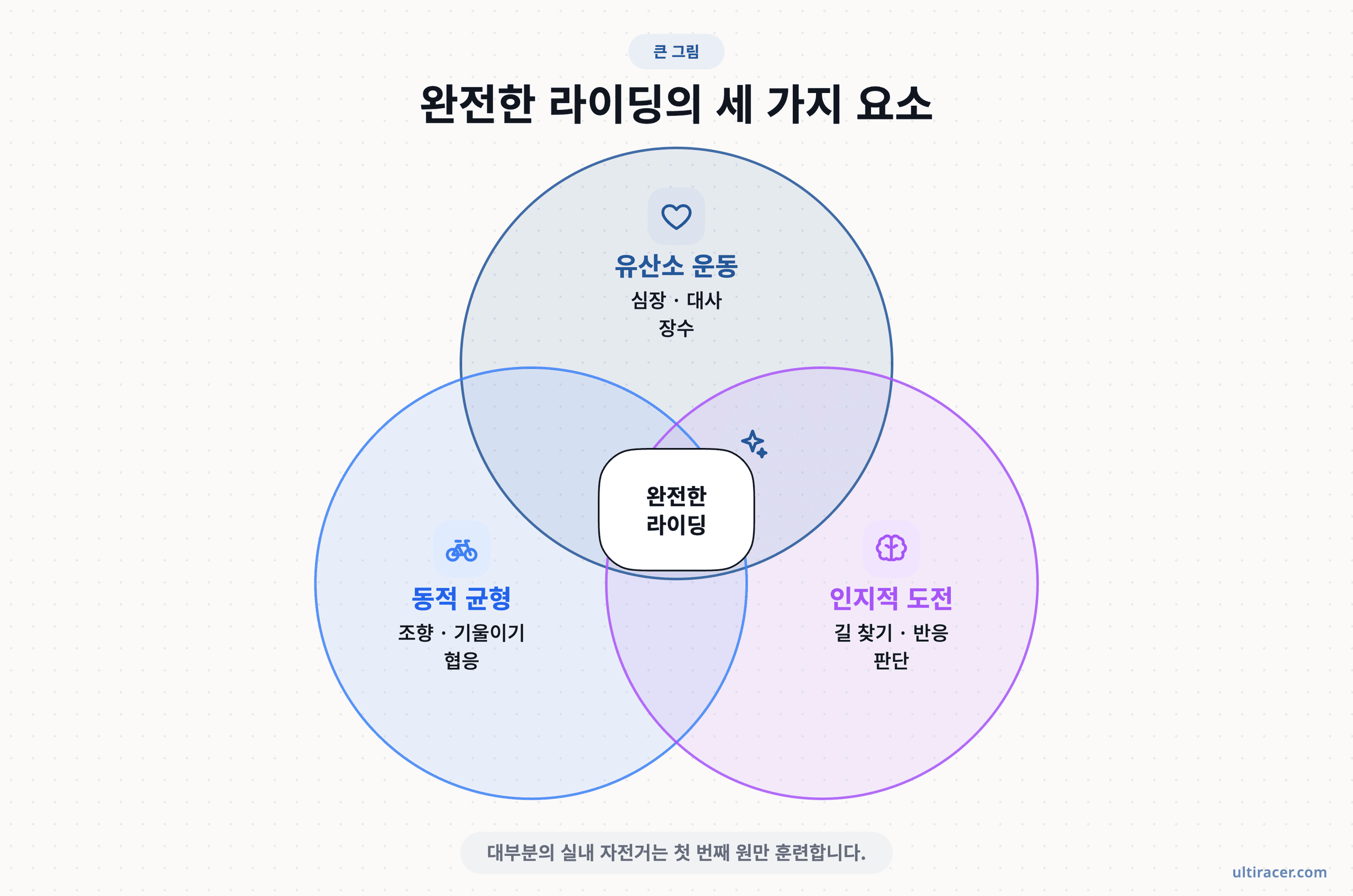 완전한 라이딩은 심장, 균형 감각, 뇌를 함께 훈련해요. 유산소 운동, 동적 균형, 인지적 도전 세 원이 겹치고 가운데에 완전한 라이딩이 있는 벤 다이어그램