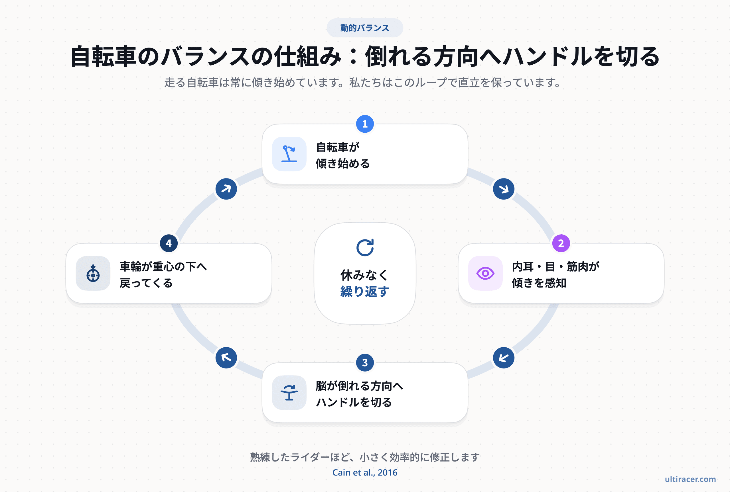 自転車に乗ることは、感知と操舵を絶えず繰り返すことです(Cain et al., 2016に基づく)。 自転車のバランスの4段階ループ:自転車が傾き始め、内耳・目・筋肉が傾きを感知し、脳が倒れる方向へハンドルを切り、車輪が重心の下へ戻る流れ