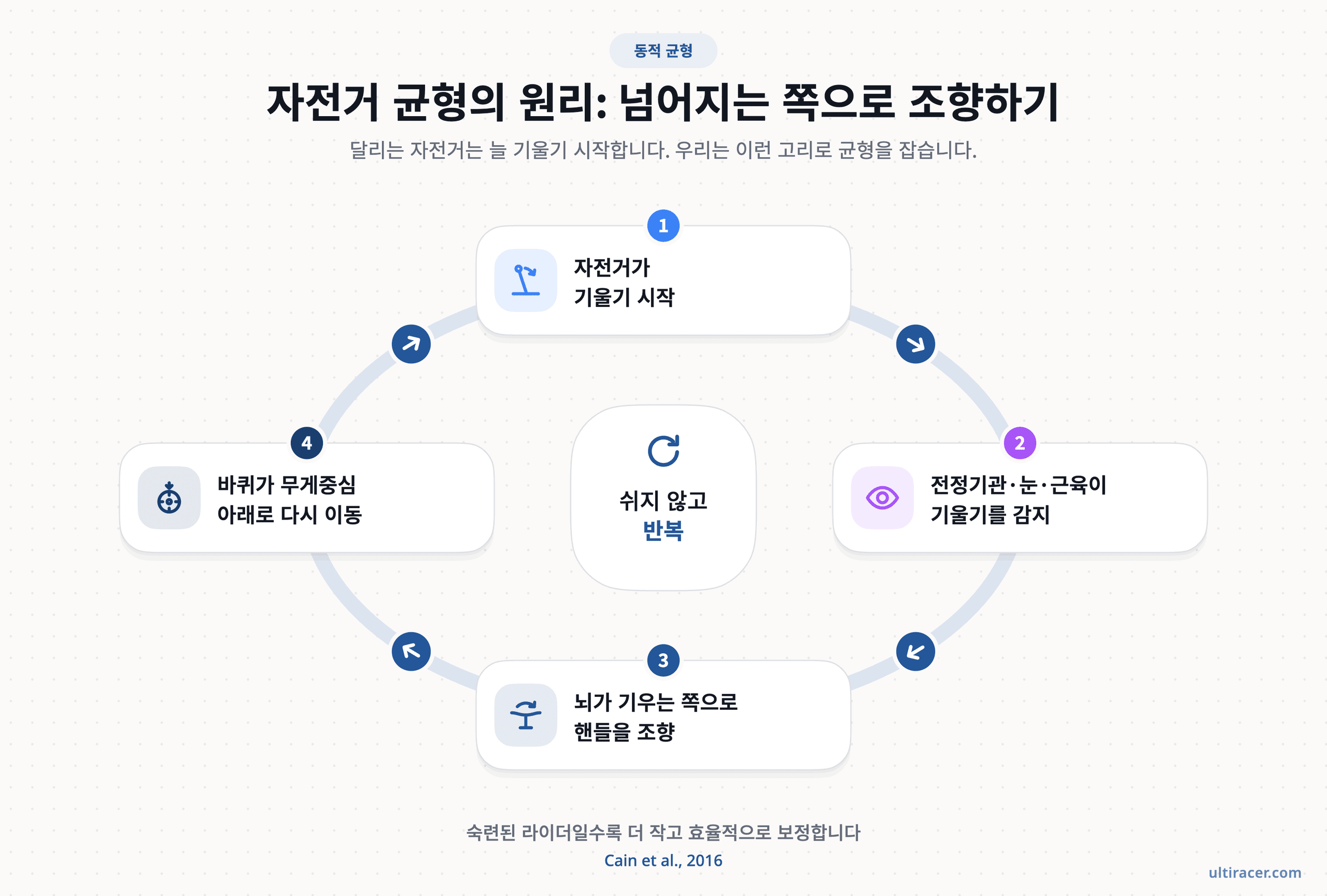 자전거 타기는 감지하고 조향하는 과정을 쉬지 않고 반복하는 일이에요 (Cain et al., 2016 기반). 자전거 균형의 4단계 고리: 자전거가 기울기 시작하고, 전정기관·눈·근육이 기울기를 감지하고, 뇌가 기우는 쪽으로 조향하고, 바퀴가 무게중심 아래로 돌아오는 과정