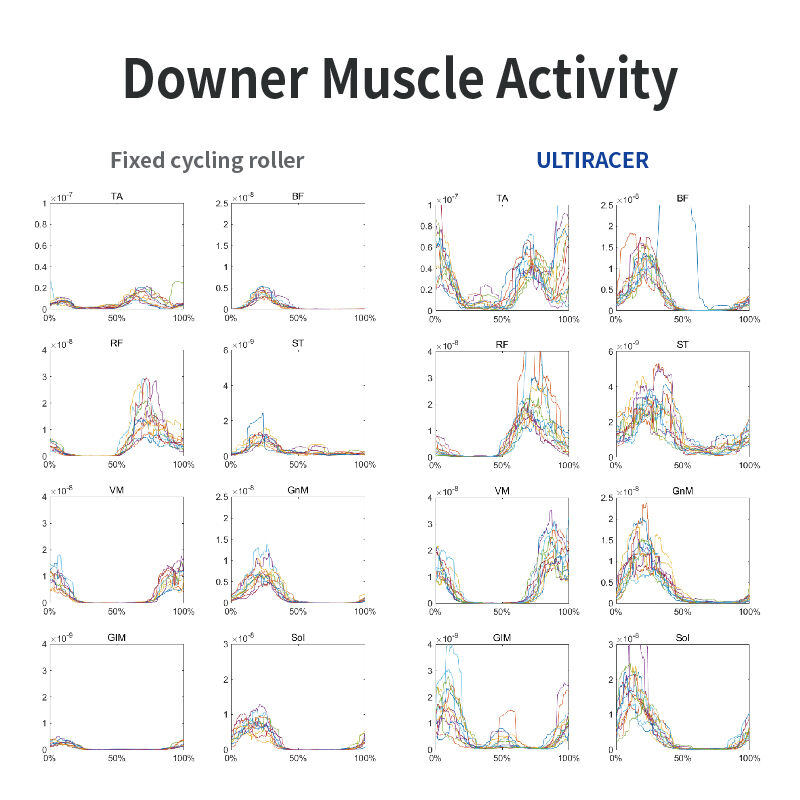 Lower body muscle activation